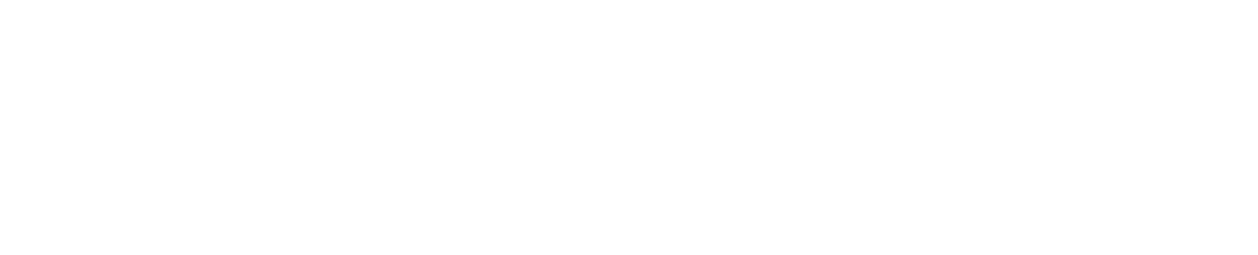 AceNinja